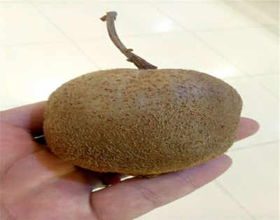 黑龙江七台河大棚甜宝草莓苗 新闻 价位