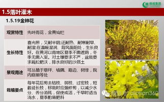 绿城集团园林软景苗木图谱 全套