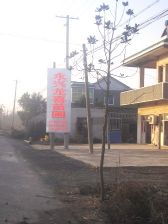 绿化苗木产品,苗木图片信息 393