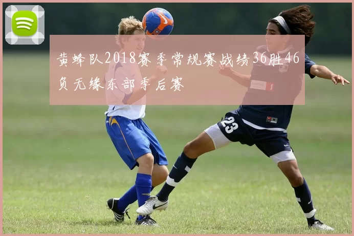 黄蜂队2018赛季常规赛战绩36胜46负无缘东部季后赛