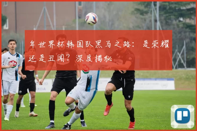 年世界杯韩国队黑马之路:是荣耀还是丑闻?深度揭秘