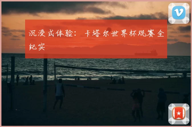 沉浸式体验：卡塔尔世界杯观赛全纪实