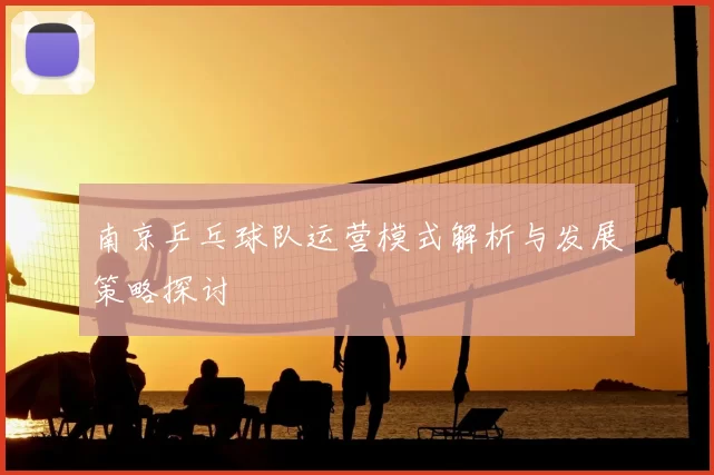 南京乒乓球队运营模式解析与发展策略探讨