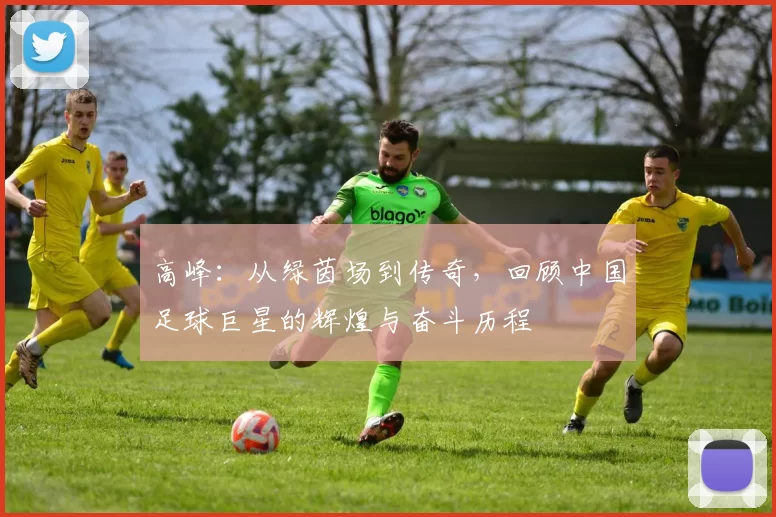 高峰：从绿茵场到传奇，回顾中国足球巨星的辉煌与奋斗历程