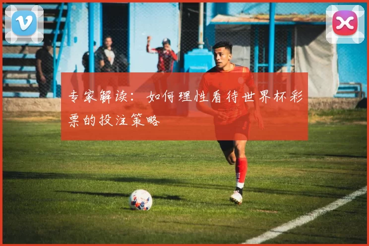 专家解读：如何理性看待世界杯彩票的投注策略