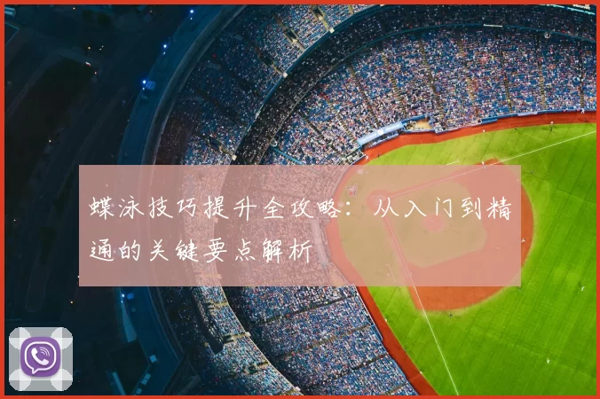 蝶泳技巧提升全攻略：从入门到精通的关键要点解析