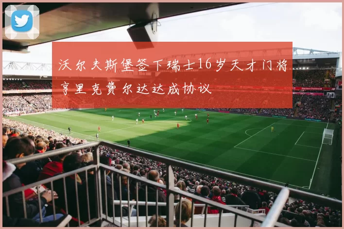 沃尔夫斯堡签下瑞士16岁天才门将亨里克费尔达达成协议