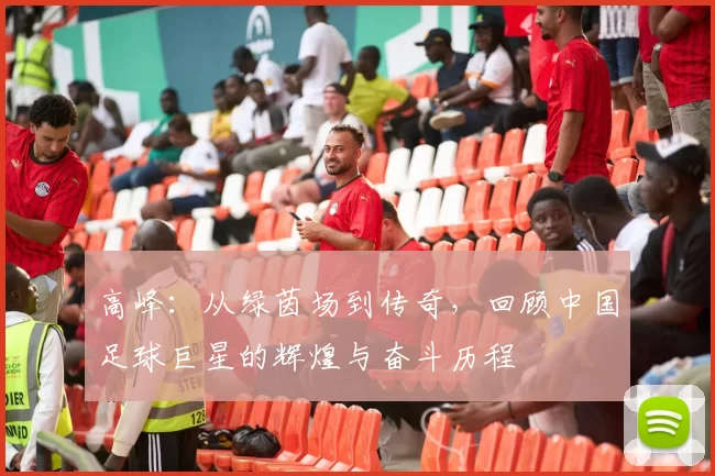 高峰：从绿茵场到传奇，回顾中国足球巨星的辉煌与奋斗历程