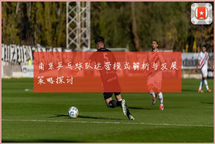 南京乒乓球队运营模式解析与发展策略探讨