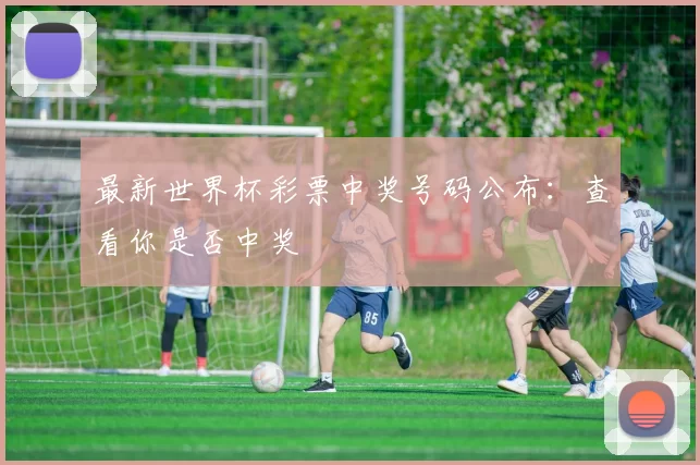 最新世界杯彩票中奖号码公布：查看你是否中奖