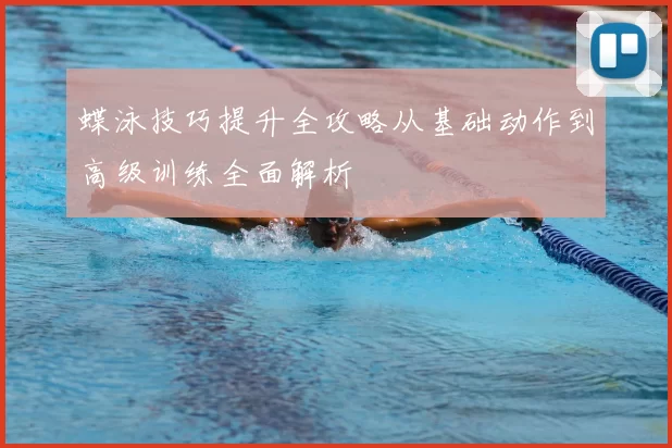 蝶泳技巧提升全攻略从基础动作到高级训练全面解析