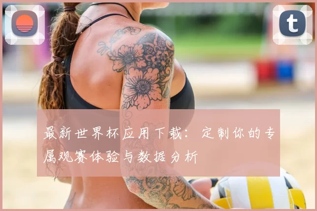 最新世界杯应用下载：定制你的专属观赛体验与数据分析
