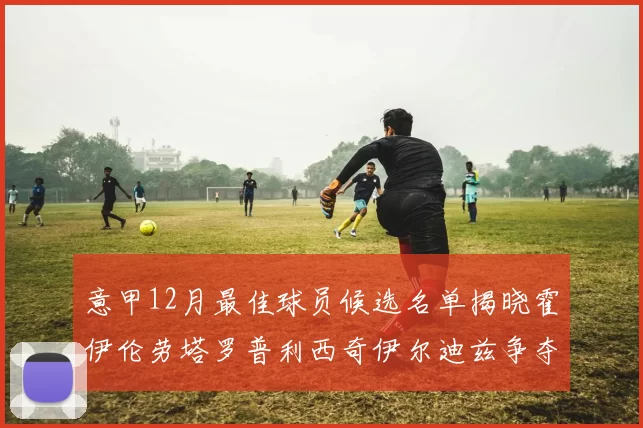 意甲12月最佳球员候选名单揭晓霍伊伦劳塔罗普利西奇伊尔迪兹争夺荣誉