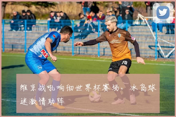 维京战吼响彻世界杯赛场，冰岛球迷激情助阵