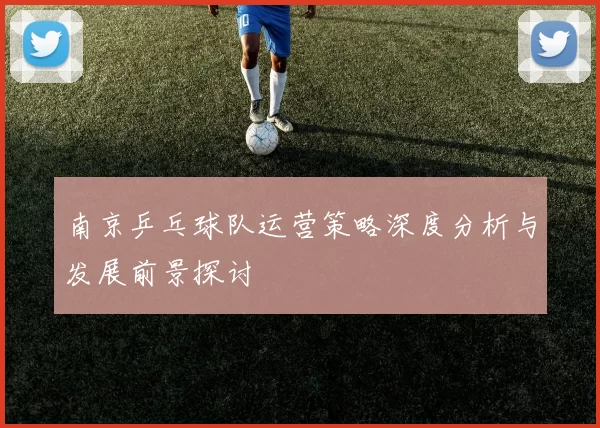 南京乒乓球队运营策略深度分析与发展前景探讨
