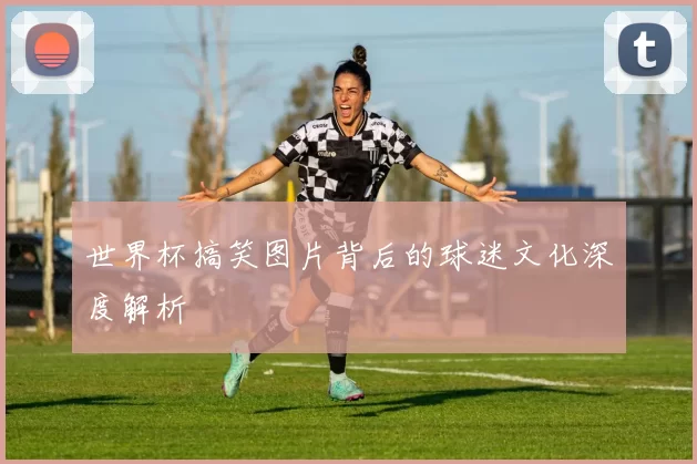 世界杯搞笑图片背后的球迷文化深度解析