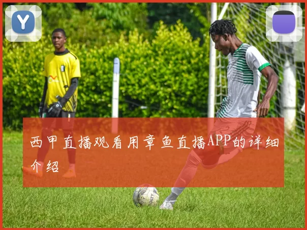 西甲直播观看用章鱼直播APP的详细介绍