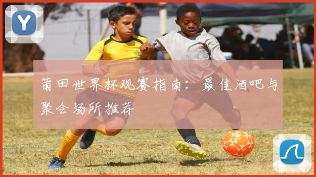 莆田世界杯观赛指南：最佳酒吧与聚会场所推荐