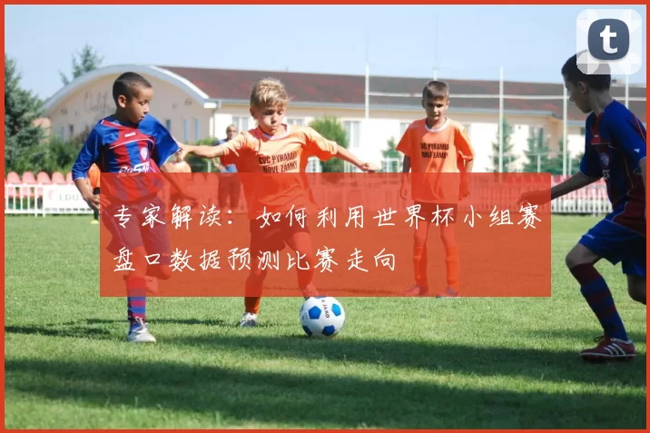 专家解读:如何利用世界杯小组赛盘口数据预测比赛走向