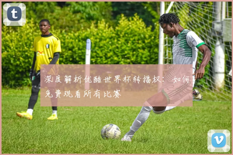 深度解析优酷世界杯转播权：如何免费观看所有比赛